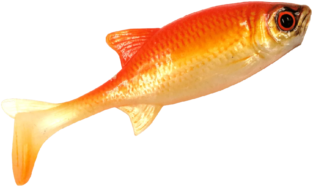 prisma-3202609160408172156395